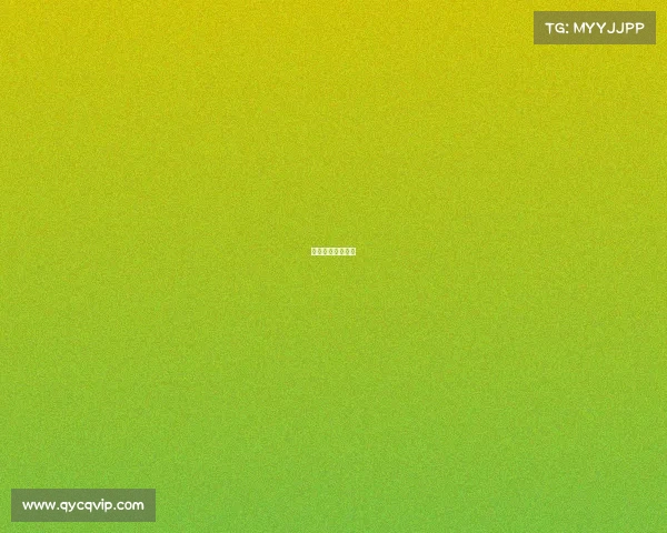 拳击比赛在线直播